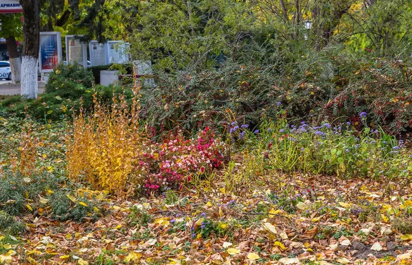 Rusya 'nın resimli parkları