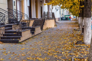 Rusya 'nın resimli parkları