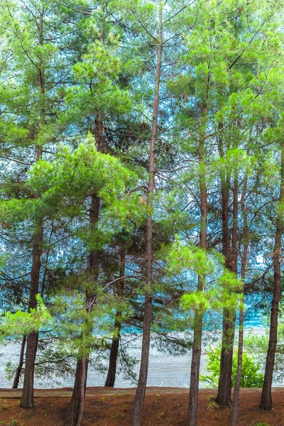 Rusya 'nın resimli parkları