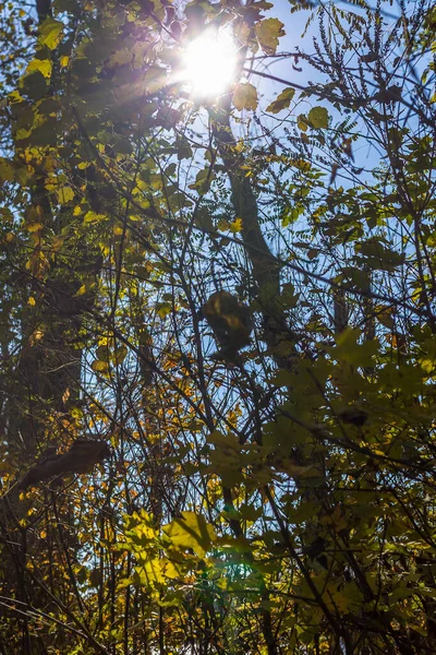 Rusya 'nın doğal manzaraları