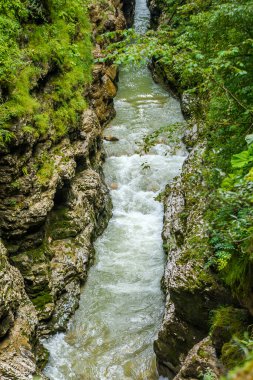 Rusya 'nın doğal manzaraları