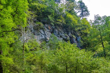 Rusya 'nın takdire şayan doğal manzaraları.