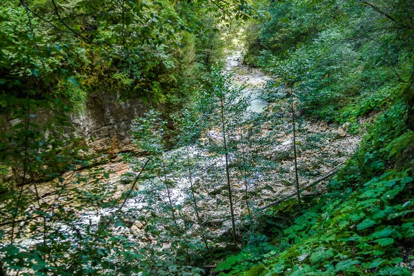 Rusya 'nın doğal manzaraları
