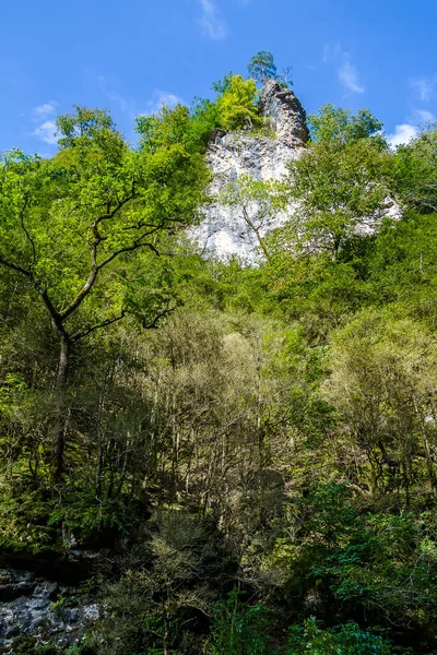 Rusya 'nın takdire şayan doğal manzaraları.