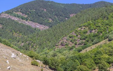 Rusya 'nın takdire şayan doğal manzaraları.