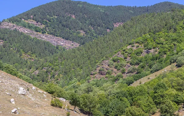 Rusya 'nın takdire şayan doğal manzaraları.