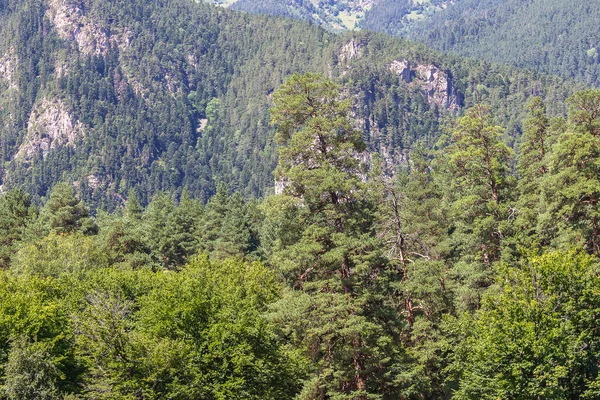 Rusya 'nın takdire şayan doğal manzaraları.