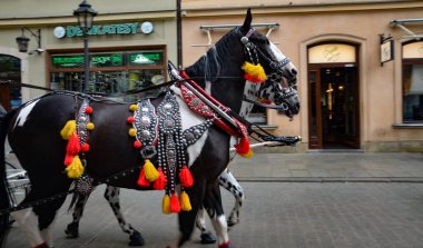 Krakow 'daki pazar meydanında anıtlar ve gösteriler