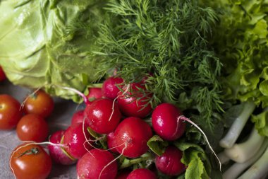 Taze sebze - lahana, turp, marul, dereotu