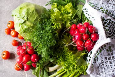 Taze sebze - lahana, turp, marul, dereotu