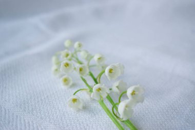 Masanın üzerindeki vadi zambakları.