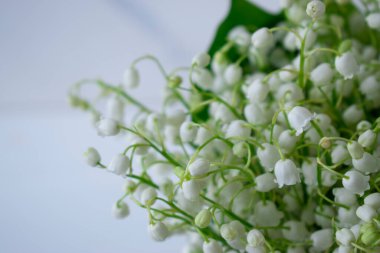 Masanın üzerindeki peçetede vadideki zambaklar.