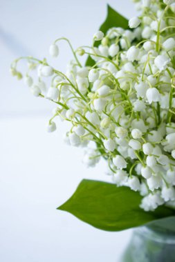 Masada vadideki zambak buketi