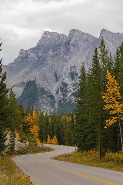 Крива Дорога Банф Національному Парку Восени Сезону Вид Вулицю Подорожі — стокове фото