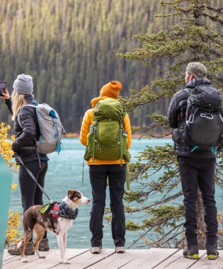 Banff Ulusal Parkı 'ndaki yüksek dağlarda köpek yürüyüşü yapan bir grup gezgin. Seyahat fotoğrafı, sokak manzarası, seçici odak, konsept fotoğraf turizmi.