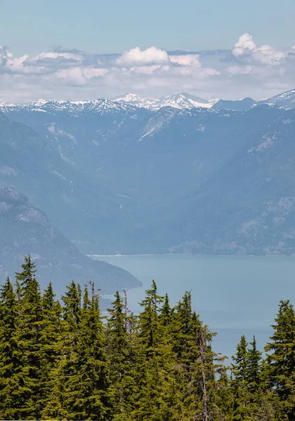 Όμορφο Τοπίο Των Βουνών Στο Cypress Provincial Park Καναδάς Concept — Φωτογραφία Αρχείου