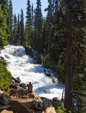 Joffre Lakes İl Parkı 'ndaki Holloway Falls, British Columbia, Kanada. Turist dağ gölüne giden yolda yürüyüş yapıyor. Seyahat fotoğrafı, seçici odak.