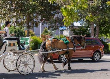 MÖ Victoria, Kanada 'da at arabası gezisi. Turistik cazibe.