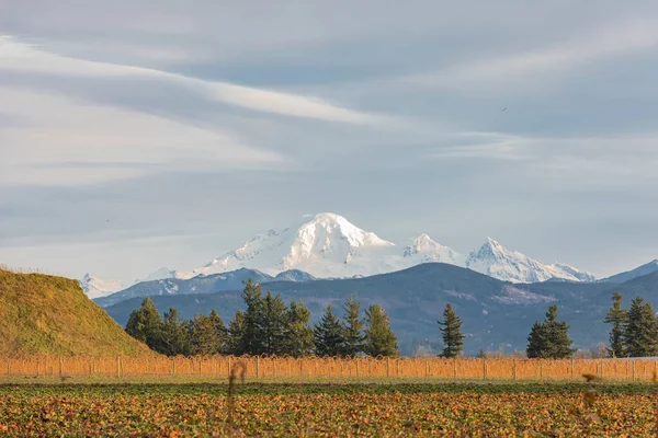 Mount Baker in Washington State seen from the Fraser Valley in British Columbia. Mount Baker volcano in autumn. Nobody, travel photo, selective focus