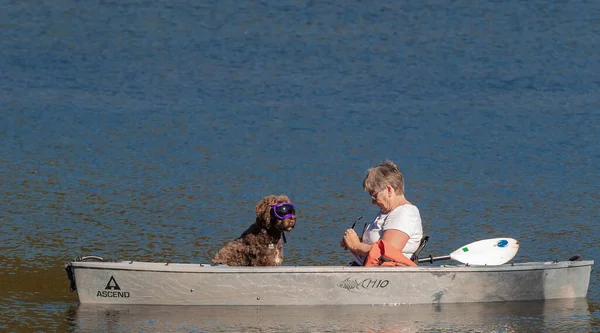 Women Dog Boat Mountain Lake Traveling Pet Canada Hostess Her — Zdjęcie stockowe