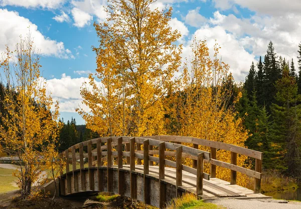 Kaskádové Rybníky Dřevěný Most Podzimním Lese Banff Alberta Kanada Cestovní — Stock fotografie