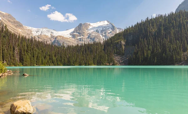 Озеро з бірюзовою водою оточене хвойними лісами та горами. Національний парк Joffre Lakes BC в Канаді — стокове фото