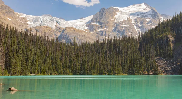 Озеро з бірюзовою водою оточене хвойними лісами та горами. Національний парк Joffre Lakes BC в Канаді — стокове фото
