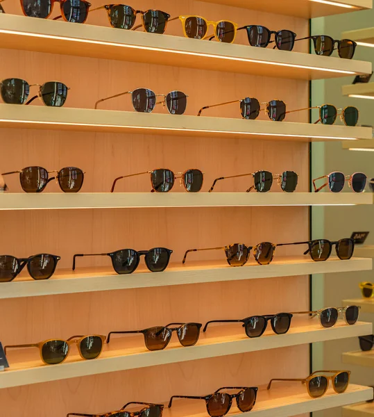 Trendiga Solglasögon Sommarglasögon Modekollektion Olika Solglasögon Ett Stativ Glaskampanjer Med — Stockfoto