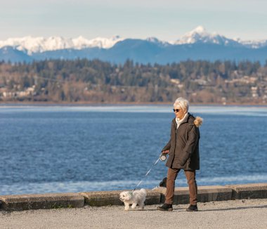 Yaşlı kadın köpekle parkta yürüyor. Sokak fotoğrafı, metin için kopyalama alanı, seçici odak - 8 Mart 2021-Vancouver BC, Kanada
