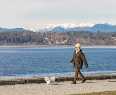 Yaşlı kadın köpekle parkta yürüyor. Sokak fotoğrafı, metin için kopyalama alanı, seçici odak - 8 Mart 2021-Vancouver BC, Kanada