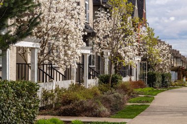 BC, Kanada 'da modern binalar. Kanada modern konut mimarisi
