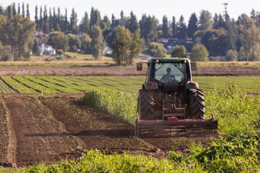 Traktör bahar ya da sonbahar mevsiminde tarlaları sürüyor. Sokak fotoğrafı, konsept fotoğraf tarımı, seçici odak noktası MÖ 1.2021-Vancouver, Kanada.