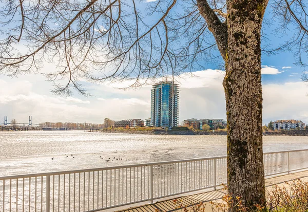 Pier Och Gångväg Vid Flodstranden Solig Vårdag Vacker Flodpark New — Stockfoto