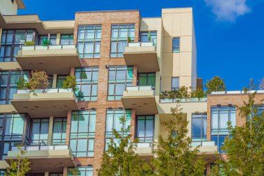 New Westminster BC, Kanada 'da güneşli bir günde komşu modern evler