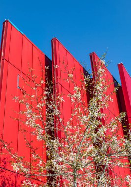 Binanın duvarında üçgen projeksiyonlar var. Kırmızı renkli modern mimari. Yay ağacı olan soyut geometrik yapı. Sokak fotoğrafı, seçici odak, hiç kimse.