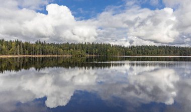 Ormandaki bir gölün güzel manzarası. British Columbia, Kanada 'daki Mission kasabası yakınlarındaki Rolley Lake Provincial Park' ta. Seyahat fotoğrafı, hiç kimse, seçici odak.