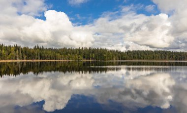 Ormandaki bir gölün güzel manzarası. British Columbia, Kanada 'daki Mission kasabası yakınlarındaki Rolley Lake Provincial Park' ta. Seyahat fotoğrafı, hiç kimse, seçici odak.