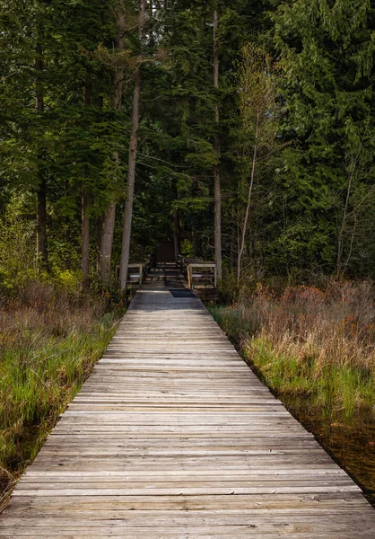 Eco Path Wooden Walkway Park British Columbia Ecological Trail Path — 스톡 사진