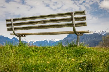 Parkta yeşil taze çimenleri olan boş bir bank. Mavi gökyüzü arka planında park bankında, cennette bir bank konsepti, dinlenmek için bir yer. Hiç kimse, seyahat fotoğrafı, metin için kopyalama alanı