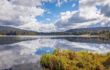 Ormandaki bir gölün güzel manzarası. British Columbia, Kanada 'daki Mission kasabası yakınlarındaki Rolley Lake Provincial Park' ta. Seyahat fotoğrafı, hiç kimse, seçici odak.