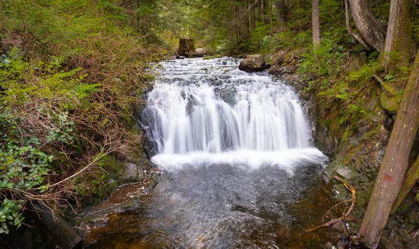 Hızla akan su ve kayalarla dolu güzel bir dağ yağmur ormanı şelalesi. Doğal mevsimsel seyahat arka planı. Seçici odak, hiç kimse, Rolley Lake Ulusal Parkı