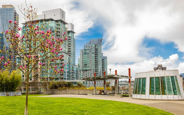 View Downtown Vancouver Cityscape Background Vancouver Skyline Canada Downtown Modern — 스톡 사진