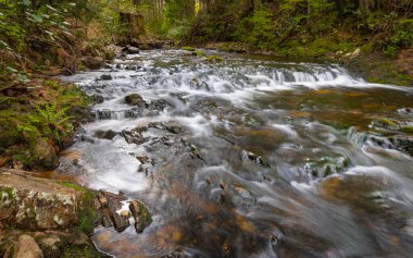 Hızla akan su ve kayalarla dolu güzel bir dağ yağmur ormanı şelalesi. Doğal mevsimsel seyahat arka planı. Seçici odak, hiç kimse, Rolley Lake Ulusal Parkı