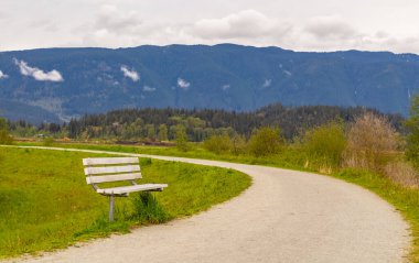 Sonbahar parkında patika. Yürüyorum. Manzara. Parkta bir patika yolu var, patika bankın yanından geçiyor. Seçici odak, hiç kimse, seyahat fotoğrafı.