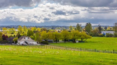 Bulutlu bir günde yeşil tarlası olan tipik Kuzey Amerika Çiftlik Evi. Evi ve ahırı olan bir çiftlik. Seyahat fotoğrafı, seçici odak, kimse yok.