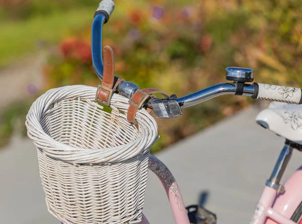 Fahrraddetails Auf Einer Straße Einem Park Nahaufnahme Eines Fahrrads Herbstpark — Stockfoto