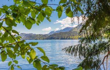 Cultus Gölü, BC, Kanada 'da güzel bir manzara. Cultus Gölü 'nde dinlenme zamanı Chilliwack. Arkasında dağlar olan güzel bir göl manzarası. Seyahat fotoğrafı, seçici odak, kimse yok..