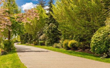 Bahar parkının yolu. Yürüyorum. Manzara. Parkta bir patika yolu var, patika bankın yanından geçiyor. Seçici odak, hiç kimse, seyahat fotoğrafı.