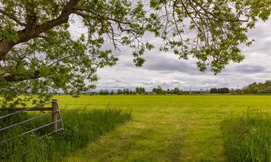 Countryside landscape and cultivated fields. Scenery of a farming valley in Canada. Travel photo, nobody, selective focus