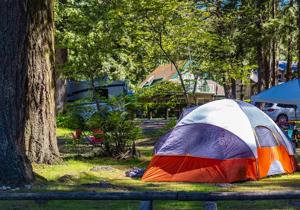 Καταπληκτική Σκηνή Κατασκήνωσης Στο Πάρκο Ακτίνες Του Ήλιου Πρωινές Σκιές — Φωτογραφία Αρχείου